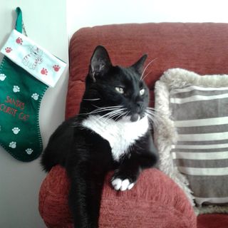 Paula Whicker's avatar