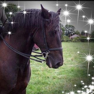 Jenny Cooper's avatar