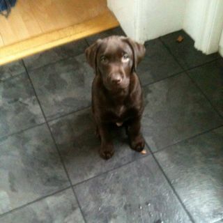 Ivan Mackay's avatar