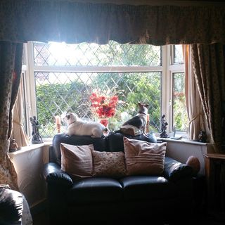 Anita Shirley's avatar