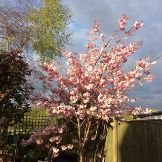 Ruth Grantham's avatar