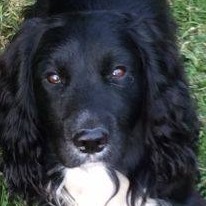 Robert Skidmore's avatar