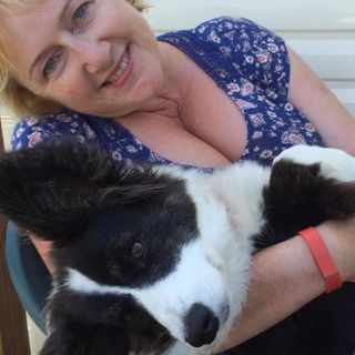 Sally Rowberry's avatar
