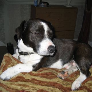 Gary Downing's avatar