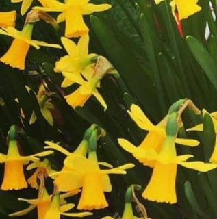 Patricia Perry's avatar