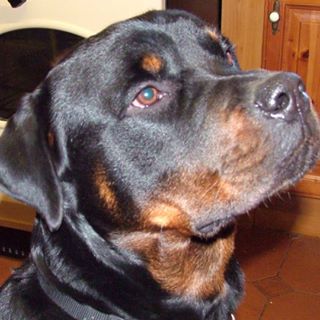 Paul Hurrell's avatar