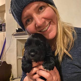 Kirsty Hannah Harris's avatar