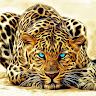 Gabriel Popa's avatar