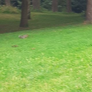 Lisa Feeney's avatar