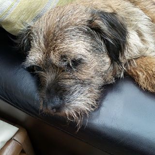 Allan Michael Kennaugh's avatar