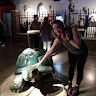 Gemma Fitzsimmons's avatar