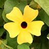 Jackie Taylor's avatar