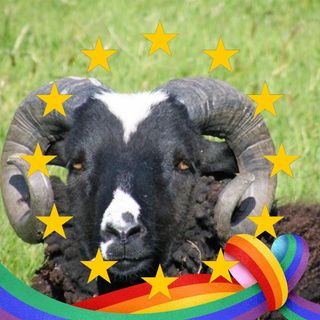 Jeni Parsons's avatar