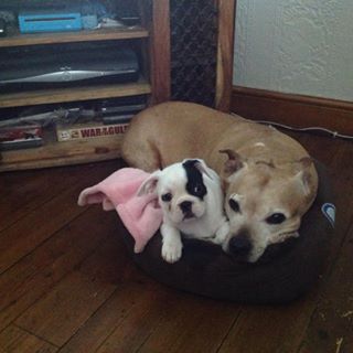 Steve Hodgetts's avatar