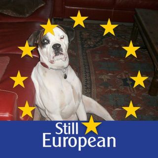 Alexandra Stopford's avatar