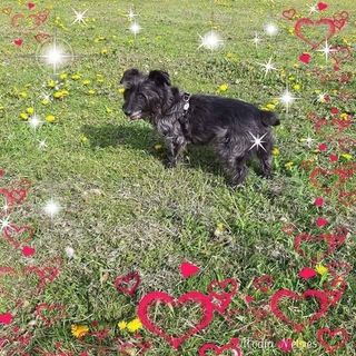 Helen O'Kelly's avatar