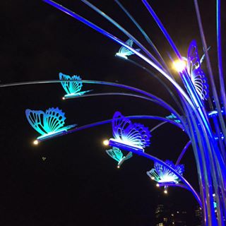 Noreen O'Connor's avatar