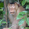 Lindsay Melling's avatar