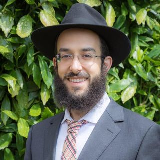 Mendy Singer's avatar