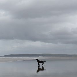 Joanne Knight's avatar