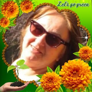 Gill Collier's avatar