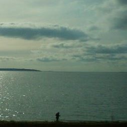 Steve Anderson's avatar