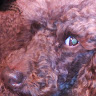 Kathleen Simpson's avatar