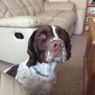 Mike Moxey's avatar