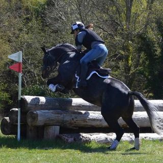 Selene Regan's avatar