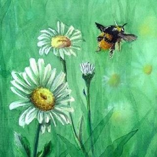 Tamsin Reeve's avatar