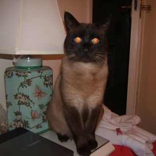 Linda Moroney's avatar