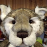 Wendy Stone's avatar