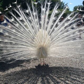 Eileen Brand's avatar