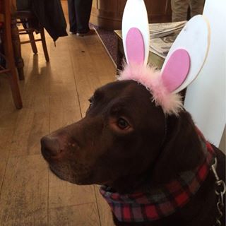 Kristina Christmas's avatar