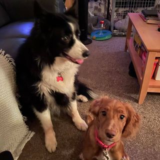 Caroline Caird's avatar