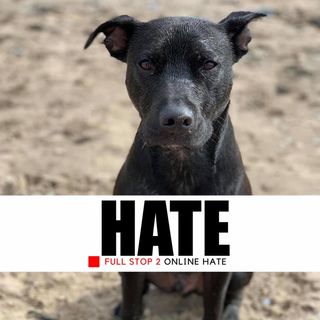 Brian Gardiner's avatar