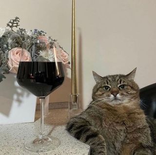 Sandra Turner's avatar