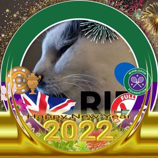 Julie Haycocks's avatar