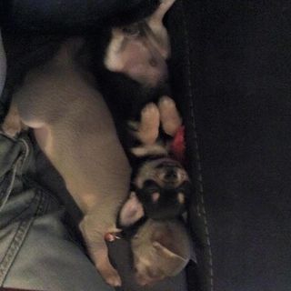 Lee Ralston's avatar