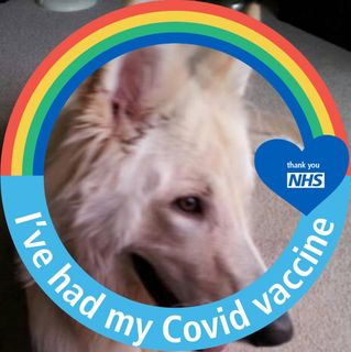 Kevin Sykes's avatar