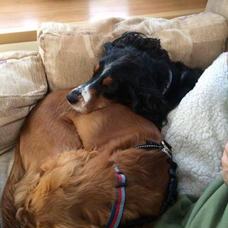 Eliz Hilary's avatar