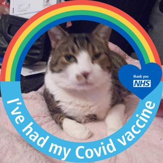 Jacqui Herbert's avatar