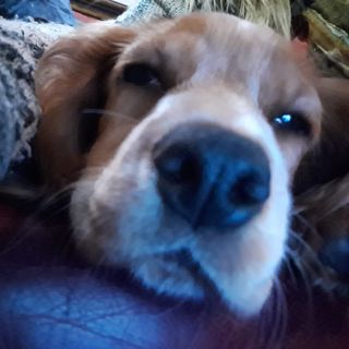 Neil Patterson's avatar