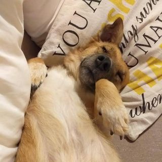 Victoria Louise's avatar