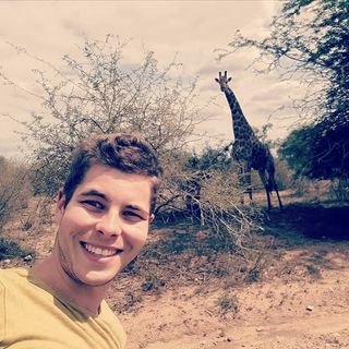 Carlos Sequeira's avatar