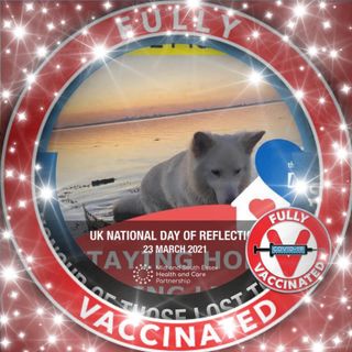 Maxine Demetriou's avatar