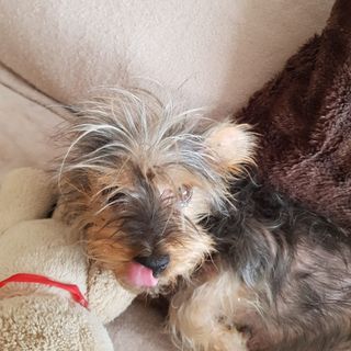 Robert Scott's avatar