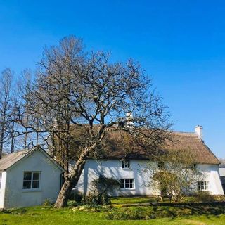 Sandy Potter's avatar