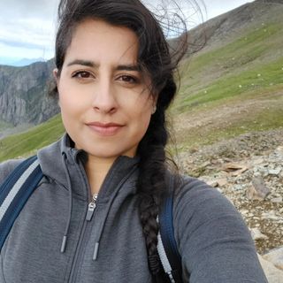 Shazi Ahmad's avatar