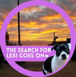 Wendy Discipline's avatar